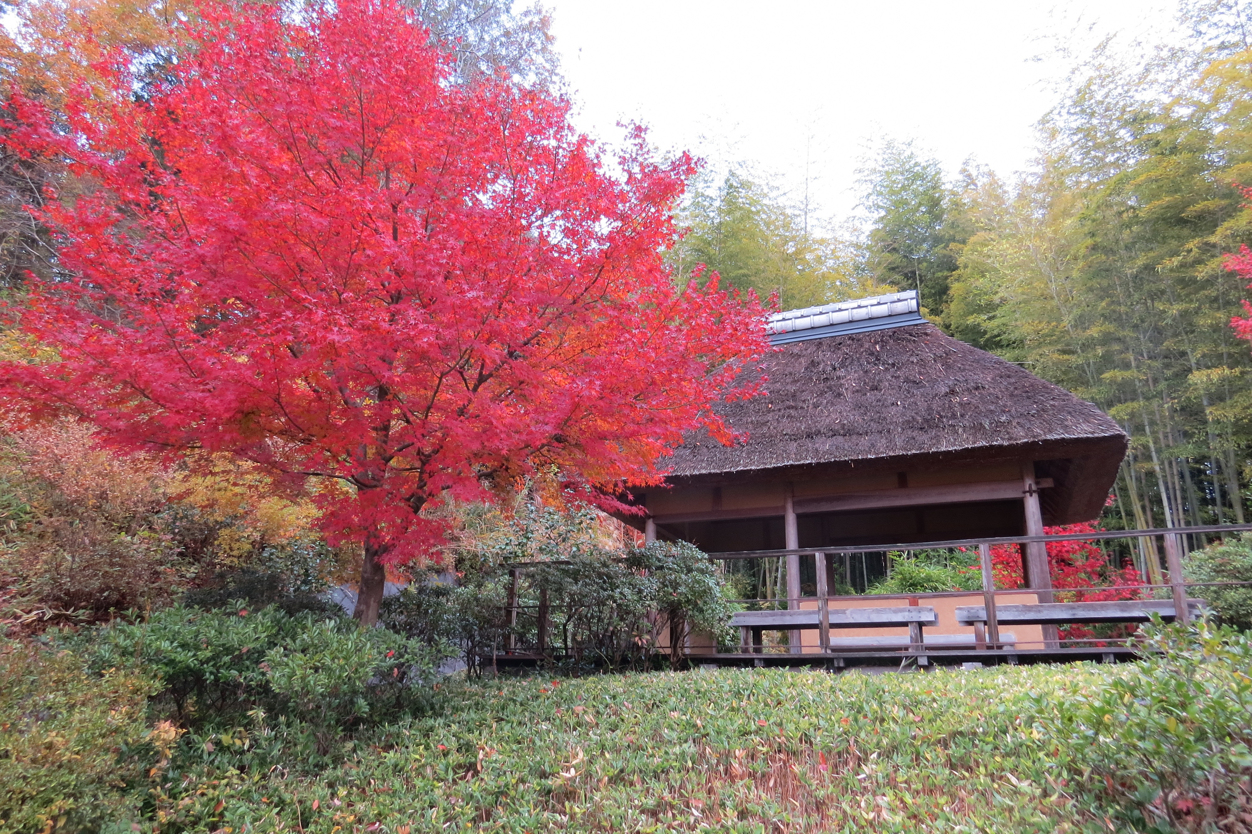 〈１組限定〉けいはんな記念公園ガイド　-日本庭園・里山の楽しみ方-