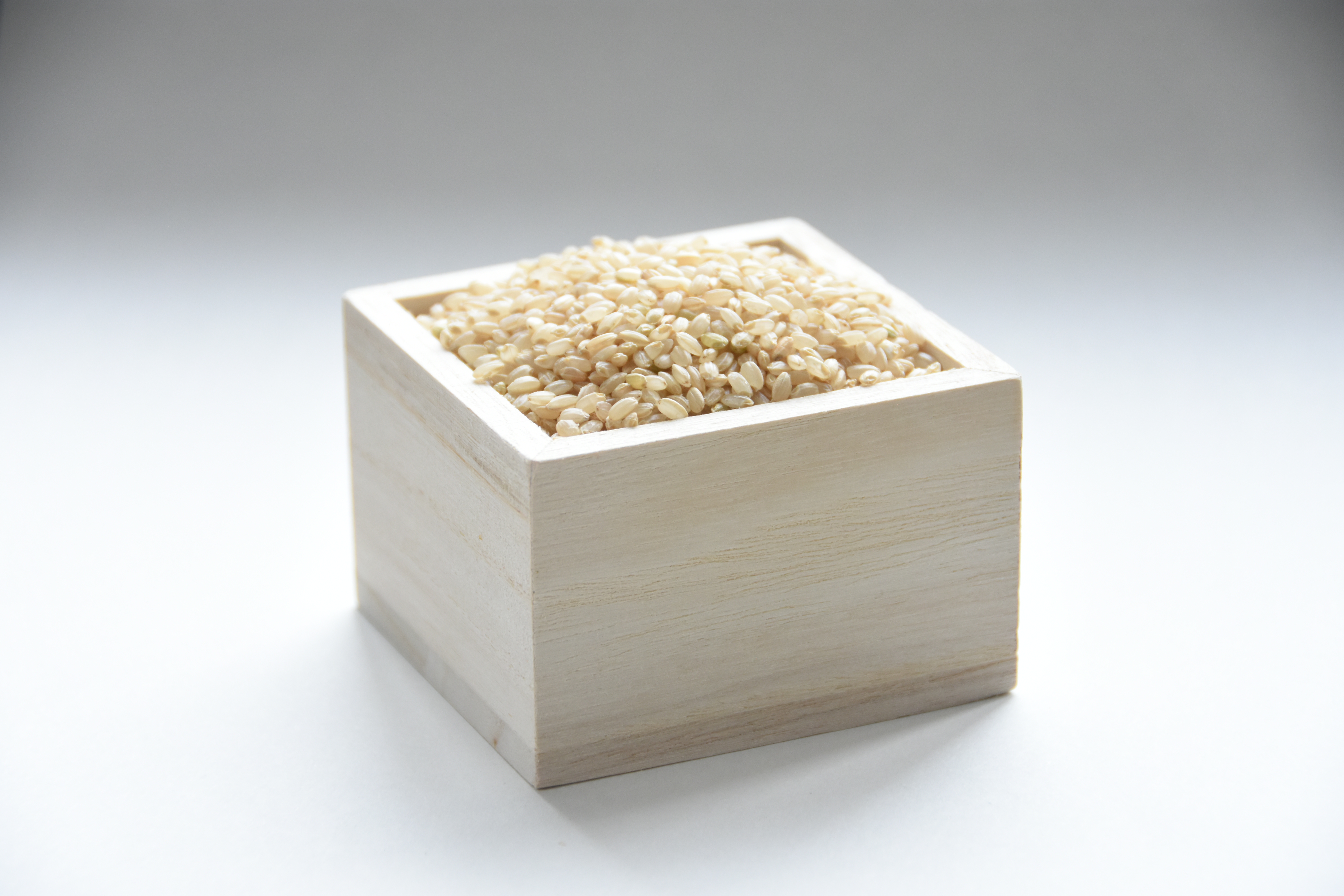 米「精華れんげの里」　ヒノヒカリ　5キロ×2袋