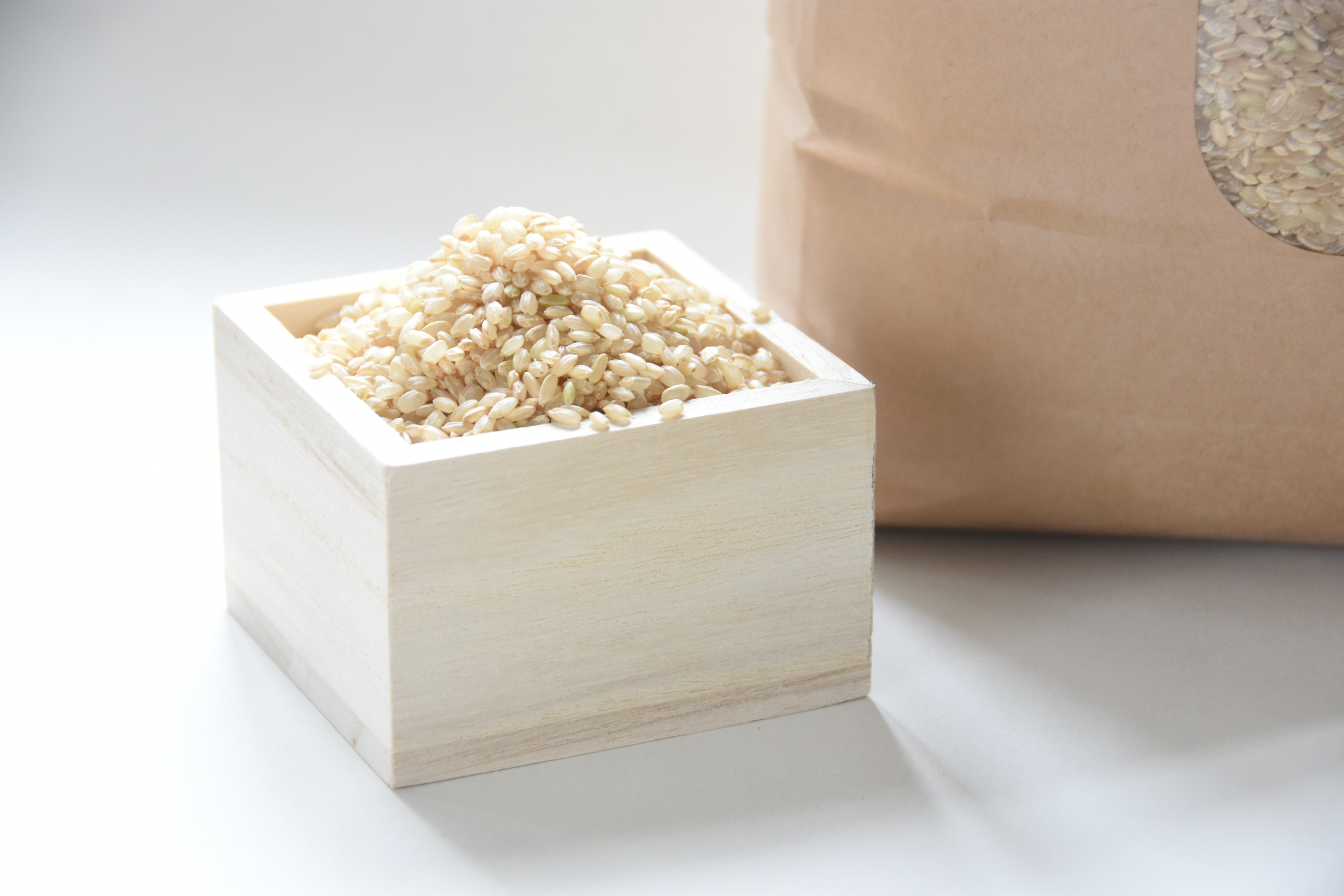 米「精華れんげの里」　コシヒカリ　5キロ×2袋